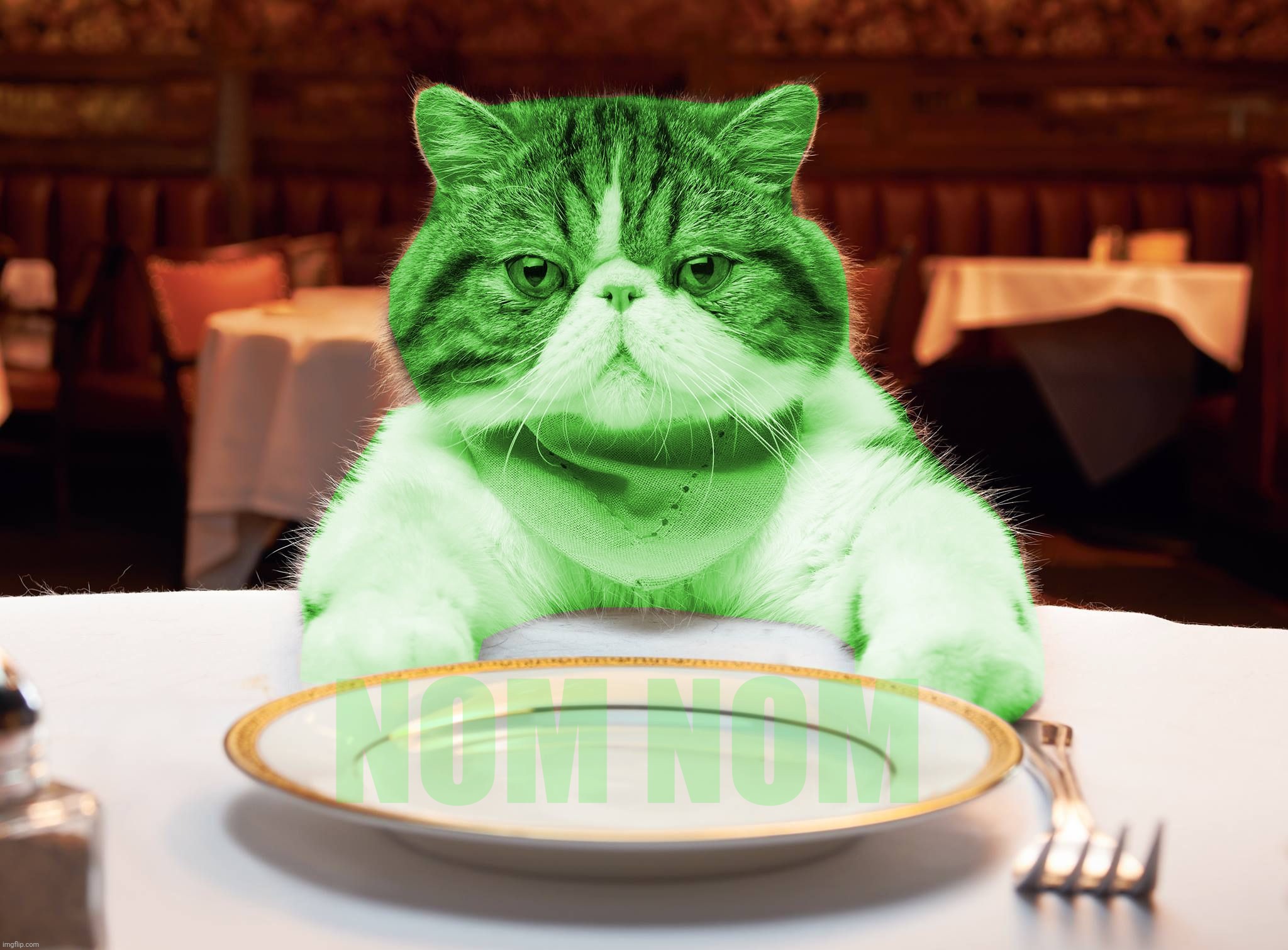 RayCat Hungry | NOM NOM | image tagged in raycat hungry | made w/ Imgflip meme maker
