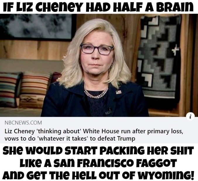 If Liz Cheney had half a brain... | image tagged in liz cheney,trump derangement syndrome,pack your shit,pack your things we're leaving,fudgepackers,full retard | made w/ Imgflip meme maker