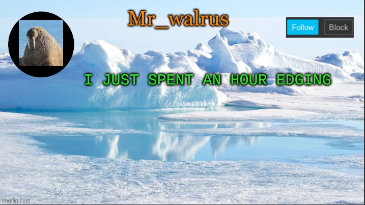 Mr_walrus | I JUST SPENT AN HOUR EDGING | image tagged in mr_walrus | made w/ Imgflip meme maker
