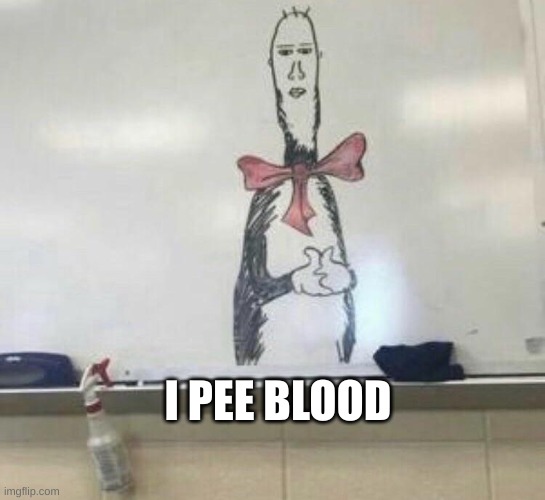 cat |  I PEE BLOOD | image tagged in cat | made w/ Imgflip meme maker