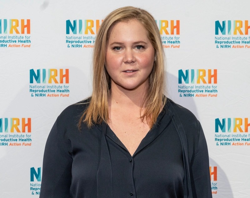 Amy Schumer Blank Meme Template