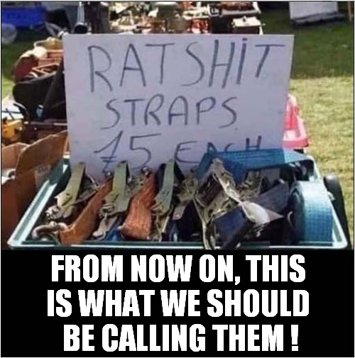 Ratchet / Rat Shit Straps ! | FROM NOW ON, THIS IS WHAT WE SHOULD  BE CALLING THEM ! | image tagged in ratchet straps,funny names,front page | made w/ Imgflip meme maker