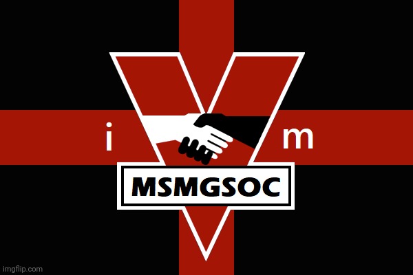 MSMGSOC flag | image tagged in msmgsoc flag | made w/ Imgflip meme maker