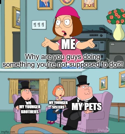 Meg Family Guy Better than me | ME; Why are you guys doing something you're not supposed to do?! MY PETS; MY YOUNGER SISTERS; MY YOUNGER BROTHERS | image tagged in meg family guy better than me | made w/ Imgflip meme maker