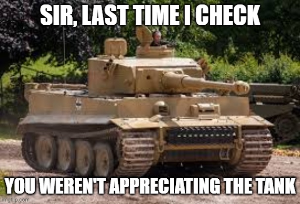 T-131 Tiger Tank | SIR, LAST TIME I CHECK; YOU WEREN'T APPRECIATING THE TANK | image tagged in t-131 tiger tank | made w/ Imgflip meme maker