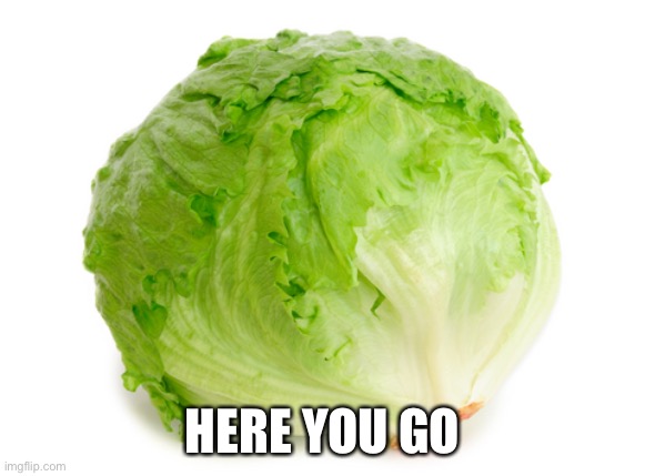 Lettuce  | HERE YOU GO | image tagged in lettuce | made w/ Imgflip meme maker