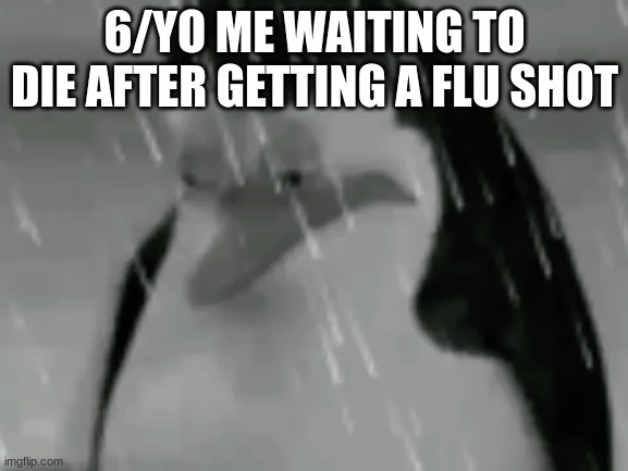 Sadge | 6/YO ME WAITING TO DIE AFTER GETTING A FLU SHOT | image tagged in sadge | made w/ Imgflip meme maker
