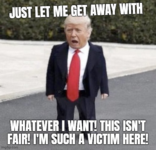 JUST LET ME DO WHATEVER I WANT AND EVERYTHING WILL BE FINE. I WILL CALL OFF MY CULT. I WILL 'BRING THE TEMPERATURE DOWN'!! | JUST LET ME GET AWAY WITH; WHATEVER I WANT! THIS ISN'T FAIR! I'M SUCH A VICTIM HERE! | image tagged in spoiled brat,donald trump,entitlement,crybaby,tyrant,cult leader | made w/ Imgflip meme maker