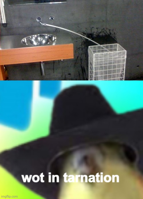 Sink | image tagged in cockatiel wot in tarnation,sink,construction fail,you had one job,memes,water | made w/ Imgflip meme maker