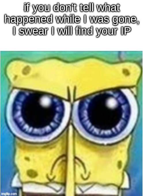 Angry spongebob blank | if you don't tell what happened while I was gone, I swear I will find your IP | image tagged in angry spongebob blank | made w/ Imgflip meme maker