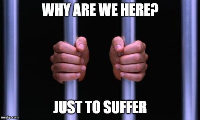 Prison Bars | WHY ARE WE HERE? JUST TO SUFFER | image tagged in prison bars | made w/ Imgflip meme maker