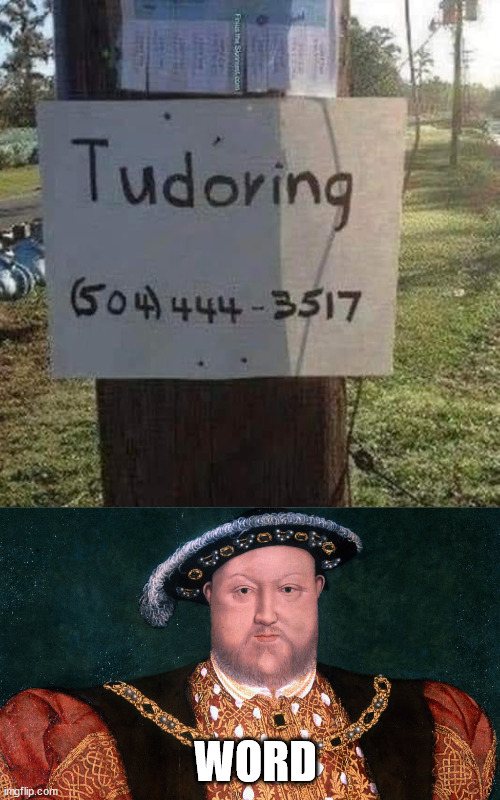 tudor | WORD | image tagged in king henry the 8th,tutorial,spelling error | made w/ Imgflip meme maker