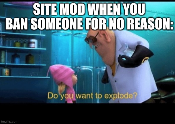 Do you want to explode | SITE MOD WHEN YOU BAN SOMEONE FOR NO REASON: | image tagged in do you want to explode | made w/ Imgflip meme maker