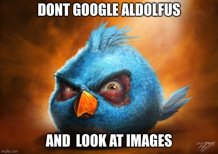 Dont do it | DONT GOOGLE ALDOLFUS; AND  LOOK AT IMAGES | image tagged in angry birds blue,meme,nsfw | made w/ Imgflip meme maker