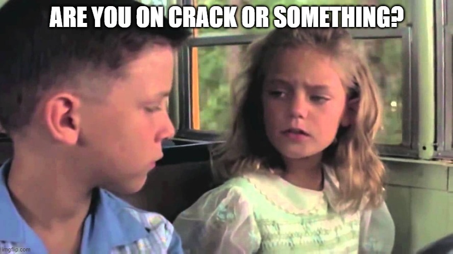 Are you on crack or something | ARE YOU ON CRACK OR SOMETHING? | image tagged in forest gump are you stupid or something | made w/ Imgflip meme maker