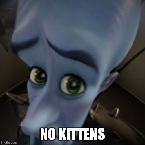 Megamind peeking | NO KITTENS | image tagged in megamind peeking | made w/ Imgflip meme maker