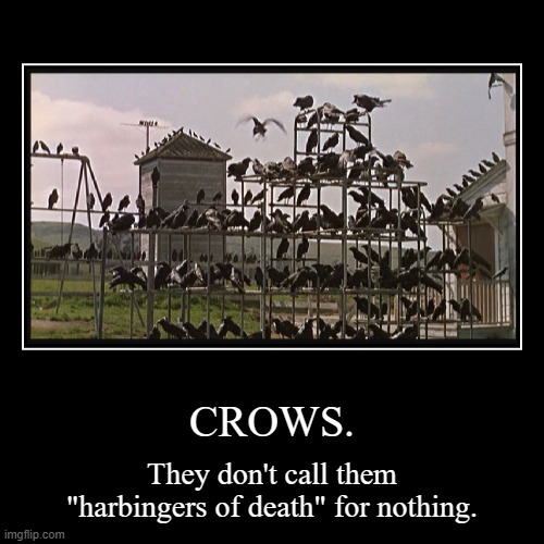 Crows. | image tagged in demotivationals,not funny,crows,the birds | made w/ Imgflip demotivational maker