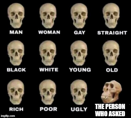 idiot skull | THE PERSON WHO ASKED | image tagged in idiot skull | made w/ Imgflip meme maker