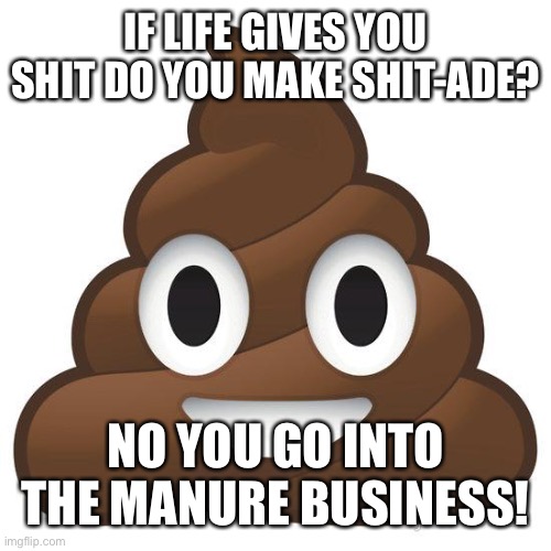poop | IF LIFE GIVES YOU SHIT DO YOU MAKE SHIT-ADE? NO YOU GO INTO THE MANURE BUSINESS! | image tagged in poop | made w/ Imgflip meme maker