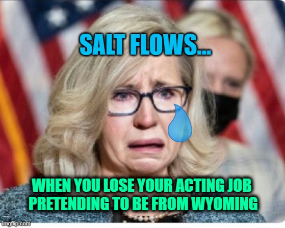 Liz Cheney no longer pretending to be from Wyoming | SALT FLOWS... WHEN YOU LOSE YOUR ACTING JOB
 PRETENDING TO BE FROM WYOMING | image tagged in liz cheney | made w/ Imgflip meme maker