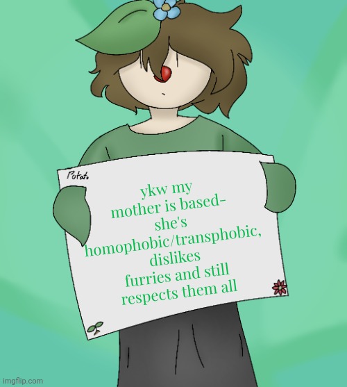 kinda hard being lgbt but idgaf | ykw my mother is based- she's homophobic/transphobic, dislikes furries and still respects them all | image tagged in stupid clown | made w/ Imgflip meme maker