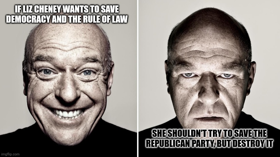 Hank Smiling/Frowning | IF LIZ CHENEY WANTS TO SAVE DEMOCRACY AND THE RULE OF LAW; SHE SHOULDN'T TRY TO SAVE THE
REPUBLICAN PARTY, BUT DESTROY IT | image tagged in the truth hurts,fascism,kill it with fire,so i guess you can say things are getting pretty serious | made w/ Imgflip meme maker