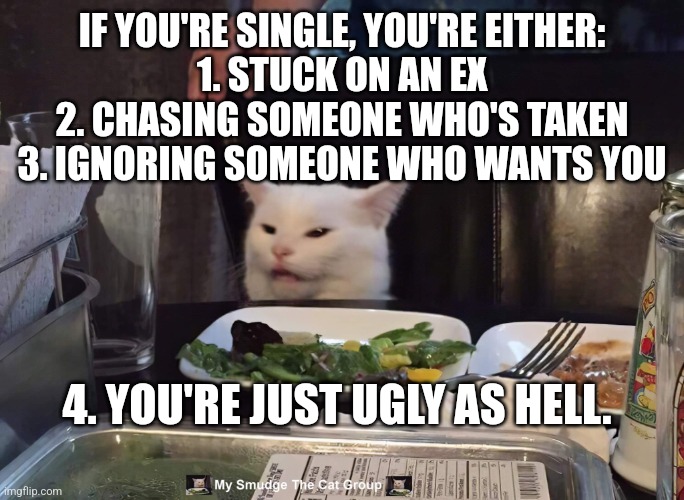 IF YOU'RE SINGLE, YOU'RE EITHER:

1. STUCK ON AN EX

2. CHASING SOMEONE WHO'S TAKEN

3. IGNORING SOMEONE WHO WANTS YOU; 4. YOU'RE JUST UGLY AS HELL. | image tagged in smudge the cat | made w/ Imgflip meme maker