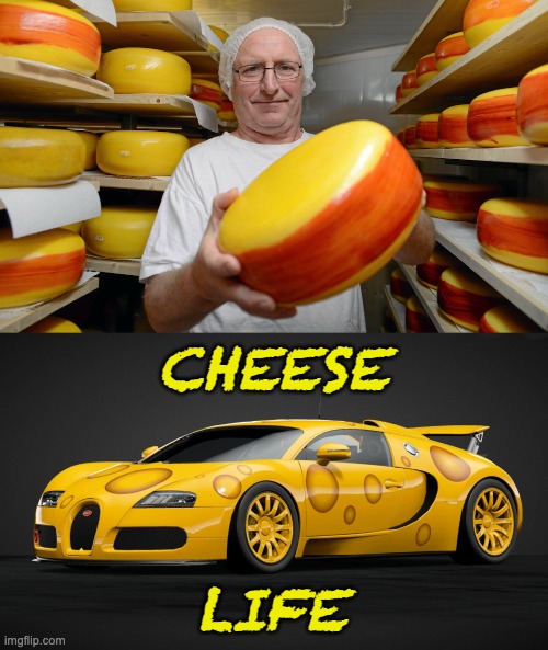 Live the life! | CHEESE LIFE | image tagged in cheese,life | made w/ Imgflip meme maker