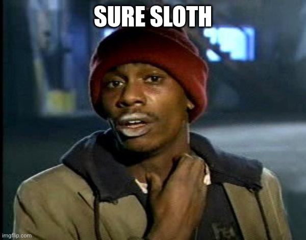 dave chappelle | SURE SLOTH | image tagged in dave chappelle | made w/ Imgflip meme maker