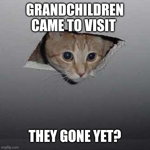 Ceiling Cat | GRANDCHILDREN CAME TO VISIT; THEY GONE YET? | image tagged in memes,ceiling cat | made w/ Imgflip meme maker