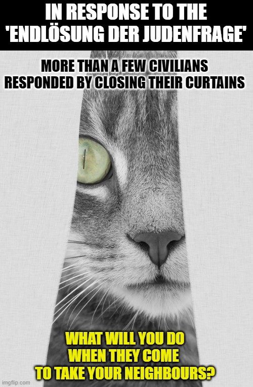 This #lolcat wonders what you will do when they come for your neighbours | IN RESPONSE TO THE
'ENDLÖSUNG DER JUDENFRAGE'; MORE THAN A FEW CIVILIANS
RESPONDED BY CLOSING THEIR CURTAINS; WHAT WILL YOU DO
WHEN THEY COME 
TO TAKE YOUR NEIGHBOURS? | image tagged in curtains,lolcat,think about it,holocaust,discrimination | made w/ Imgflip meme maker