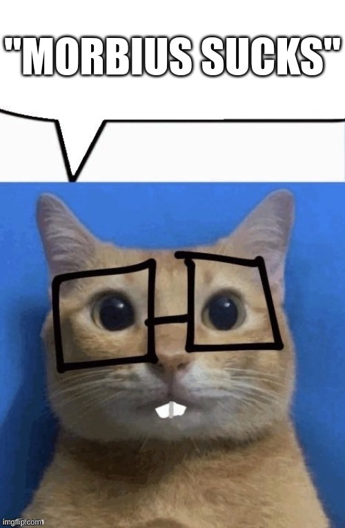nerd cat | "MORBIUS SUCKS" | image tagged in nerd cat | made w/ Imgflip meme maker