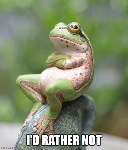 nah frog | I’D RATHER NOT | image tagged in nah frog | made w/ Imgflip meme maker