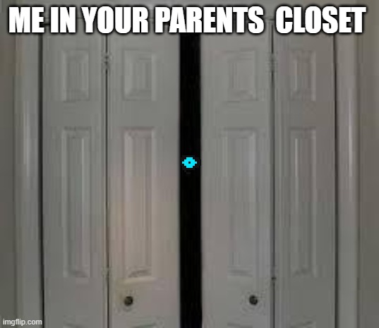 closet | ME IN YOUR PARENTS  CLOSET | image tagged in closet | made w/ Imgflip meme maker