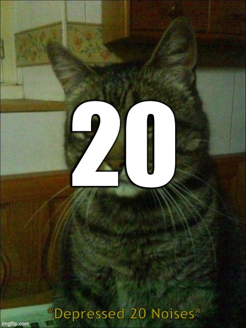 Depressed Cat Meme | 20 *Depressed 20 Noises* | image tagged in memes,depressed cat | made w/ Imgflip meme maker