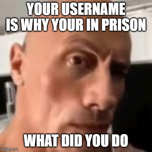 Rock raising eyebrow | YOUR USERNAME IS WHY YOUR IN PRISON; WHAT DID YOU DO | image tagged in rock raising eyebrow | made w/ Imgflip meme maker