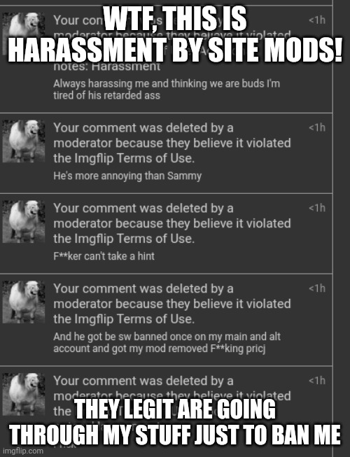WTF, THIS IS HARASSMENT BY SITE MODS! THEY LEGIT ARE GOING THROUGH MY STUFF JUST TO BAN ME | made w/ Imgflip meme maker