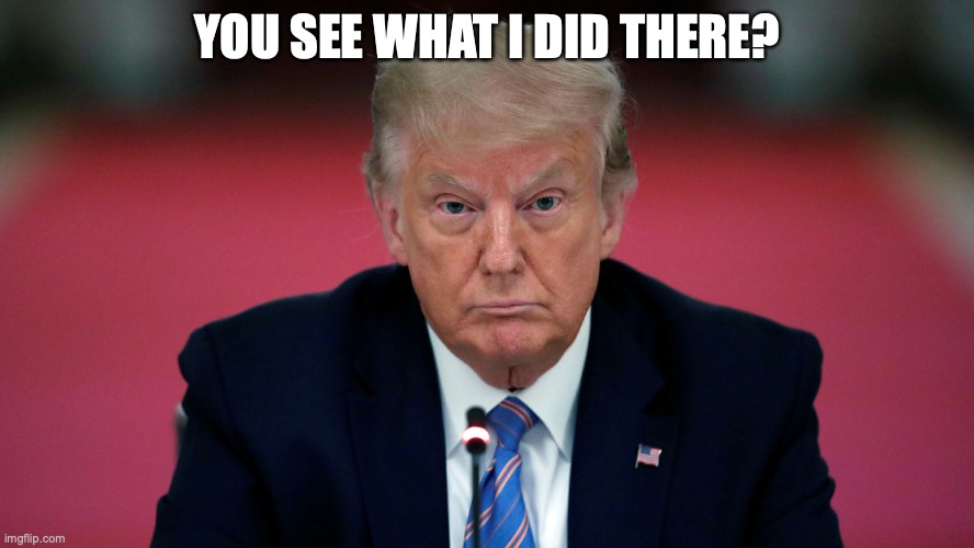 Trump You See What I Did There? | YOU SEE WHAT I DID THERE? | image tagged in donald trump | made w/ Imgflip meme maker