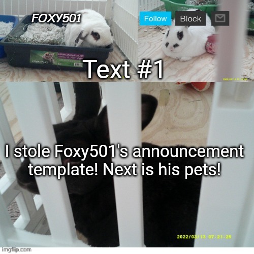 I am a master robber.... | Text #1; I stole Foxy501's announcement template! Next is his pets! | image tagged in foxy501 announcement template,robbery,pets,ha ha tags go brr | made w/ Imgflip meme maker