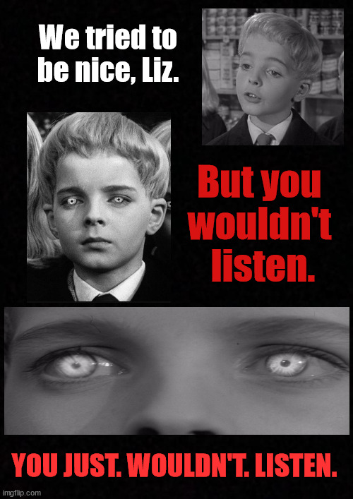 Liz Cheney we tried to be nice | We tried to be nice, Liz. But you 
wouldn't 
listen. YOU JUST. WOULDN'T. LISTEN. | image tagged in blank | made w/ Imgflip meme maker