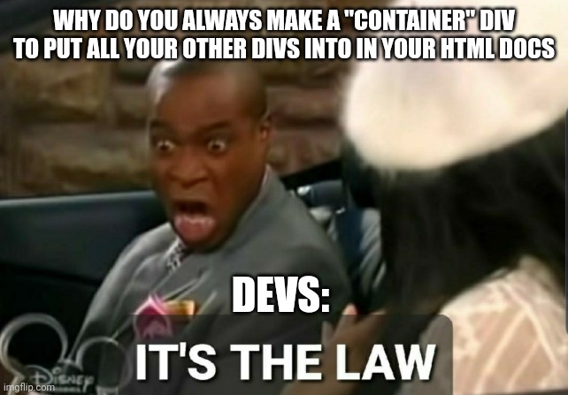 It's the law | WHY DO YOU ALWAYS MAKE A "CONTAINER" DIV TO PUT ALL YOUR OTHER DIVS INTO IN YOUR HTML DOCS; DEVS: | image tagged in it's the law | made w/ Imgflip meme maker
