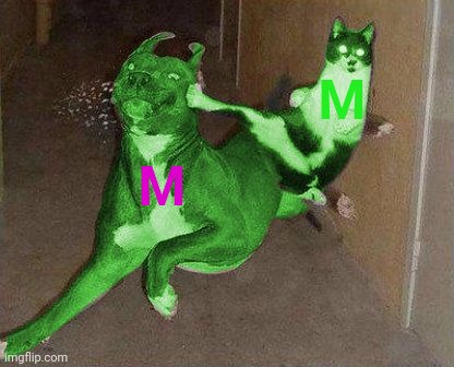 RayCat kicking RayDog | M M | image tagged in raycat kicking raydog | made w/ Imgflip meme maker