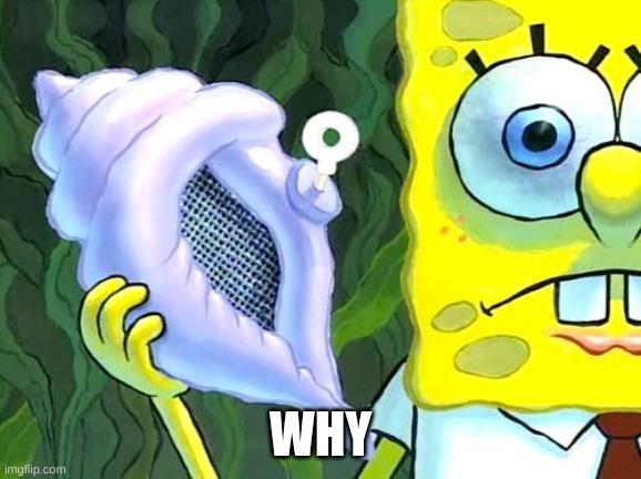 Magic Conch | WHY | image tagged in magic conch | made w/ Imgflip meme maker