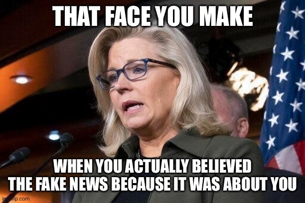 Liz Cheney | THAT FACE YOU MAKE; WHEN YOU ACTUALLY BELIEVED THE FAKE NEWS BECAUSE IT WAS ABOUT YOU | image tagged in liz cheney | made w/ Imgflip meme maker