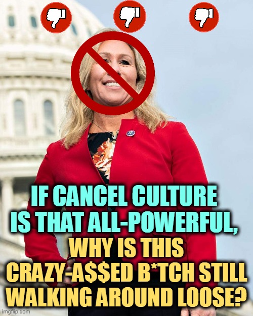 Get the Net | IF CANCEL CULTURE IS THAT ALL-POWERFUL, WHY IS THIS CRAZY-A$$ED B*TCH STILL WALKING AROUND LOOSE? | image tagged in maga,amazing,stupid,loud,empty,cancel culture | made w/ Imgflip meme maker
