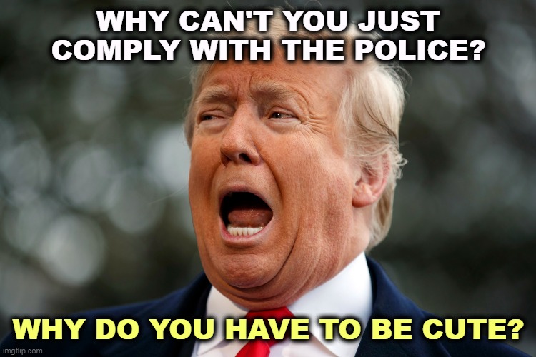 Trump fear frightened snowflake | WHY CAN'T YOU JUST COMPLY WITH THE POLICE? WHY DO YOU HAVE TO BE CUTE? | image tagged in trump fear frightened snowflake,trump,fight,law,loser | made w/ Imgflip meme maker