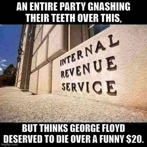 IRS | AN ENTIRE PARTY GNASHING THEIR TEETH OVER THIS, BUT THINKS GEORGE FLOYD DESERVED TO DIE OVER A FUNNY $20. | image tagged in irs | made w/ Imgflip meme maker