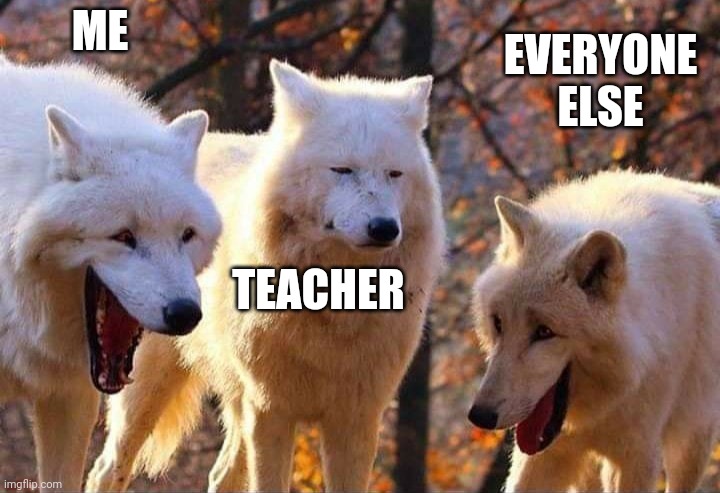 Laughing wolf | ME TEACHER EVERYONE ELSE | image tagged in laughing wolf | made w/ Imgflip meme maker