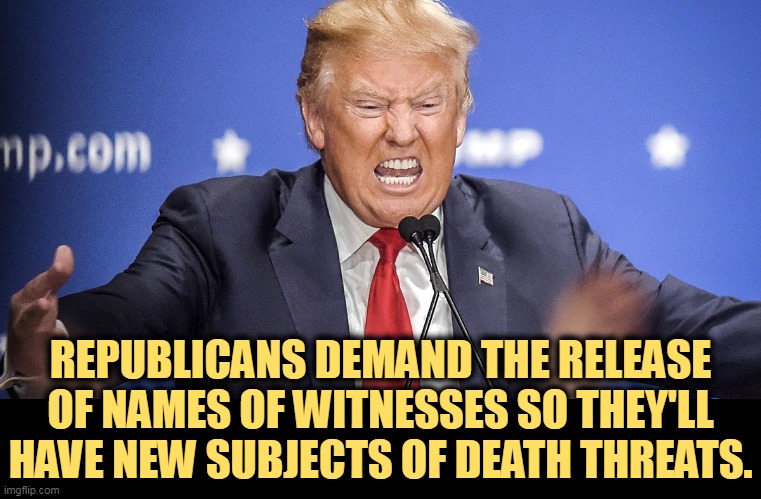 What's the point of being a Republican if you can't terrorize somebody's children? | REPUBLICANS DEMAND THE RELEASE OF NAMES OF WITNESSES SO THEY'LL HAVE NEW SUBJECTS OF DEATH THREATS. | image tagged in trump insane anger teeth maniac,bullying,death,threats | made w/ Imgflip meme maker