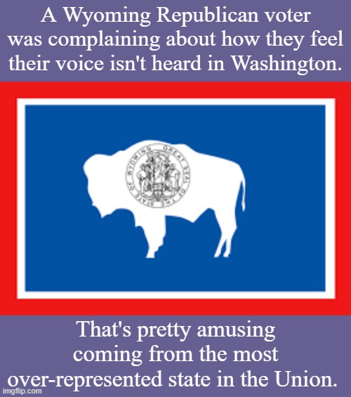 Who's going to tell him that his vote already counts many times more than a Californian's or a New Yorker's | A Wyoming Republican voter was complaining about how they feel their voice isn't heard in Washington. That's pretty amusing coming from the most over-represented state in the Union. | image tagged in flag of wyoming,wyoming,senate,republicans,conservative hypocrisy,conservative logic | made w/ Imgflip meme maker